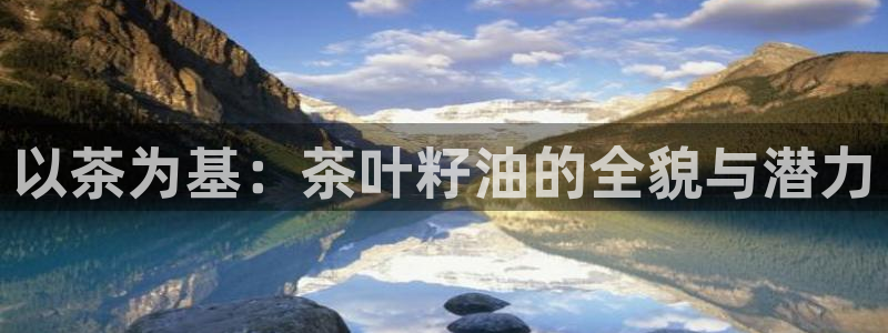 龙八国际手机版入口官网