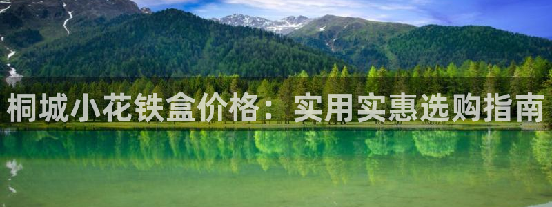 龙八国际视频入口