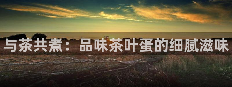 官网龙八国际