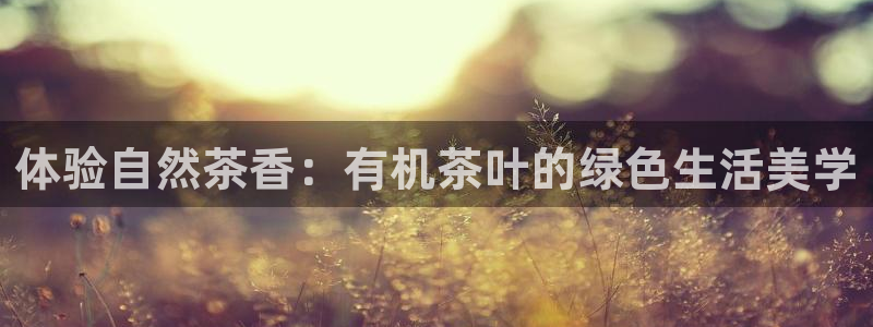 龙八国际服