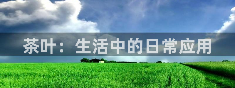 龙八国际手机版下载安装app