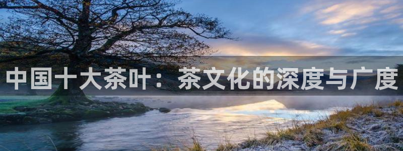 龙八国际app首页
