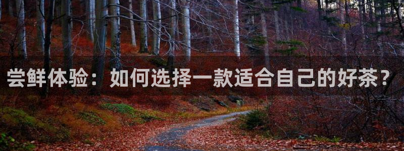 龙八国际相仿平台