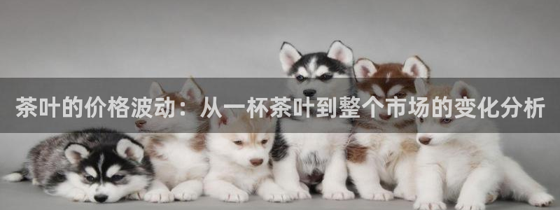 手机版龙八国际官网