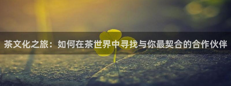 龙八国际新版