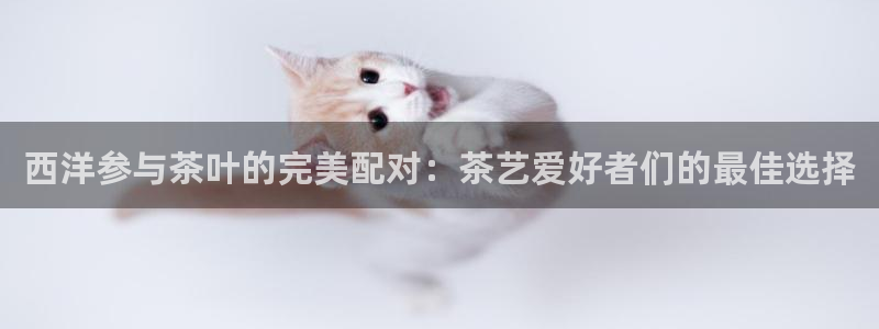 龙八国际服官网入口