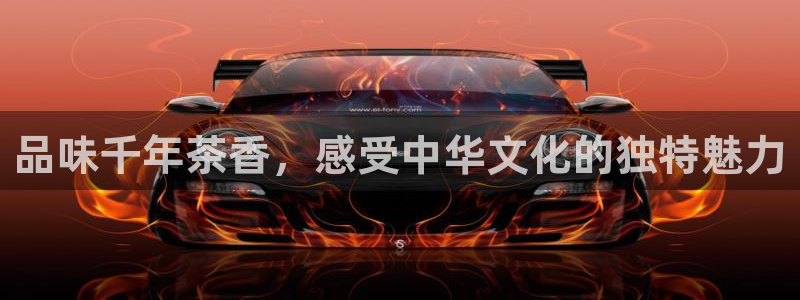 龙八国际是什么