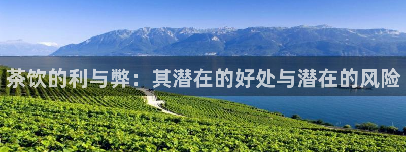 龙八国际娱乐网
