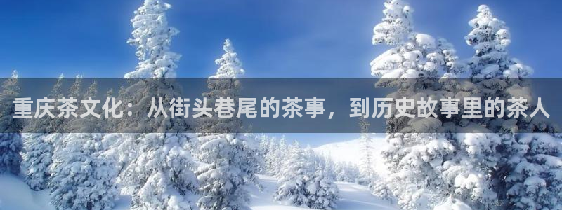 龙八国际怎么注册安卓