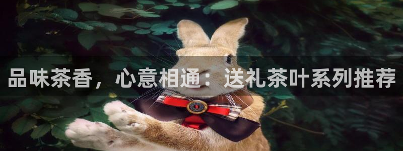 龙八国际地址