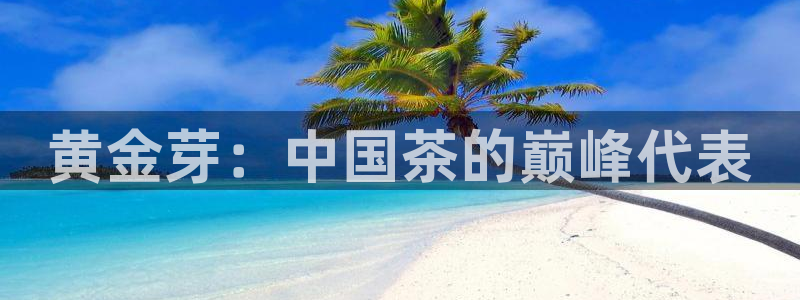 龙八国际刘佳烨