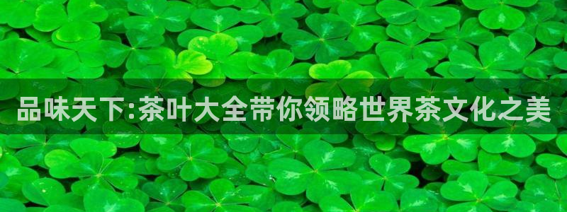 在龙八国际