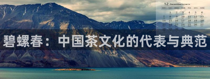 龙八国际技巧