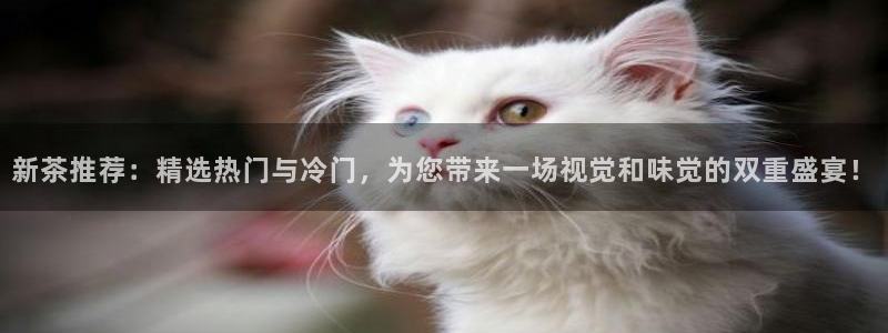 龙八国际APP客户