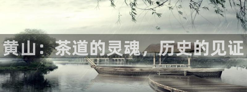 龙八国际app官方网站