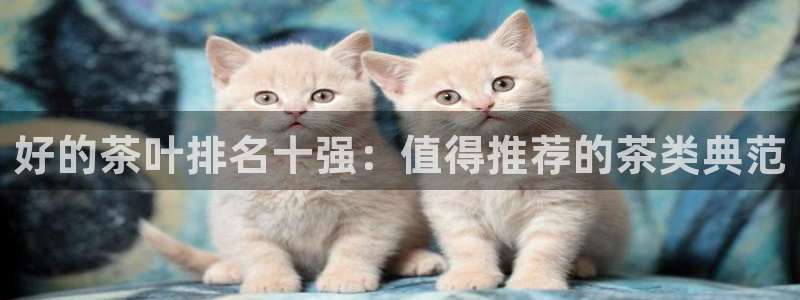 龙八国际app客户端下载手机端