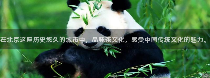 龙八国际娱