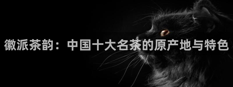 龙八国际官方手游
