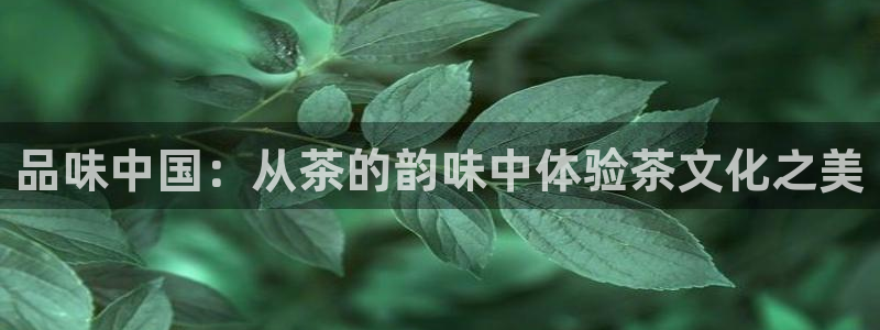 龙八国际怎么注册