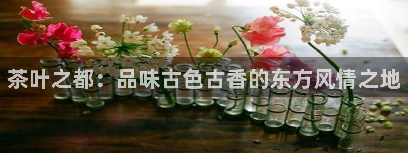 龙八国际歌曲