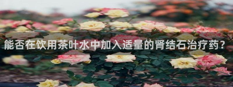 龙八国际官网客户服务