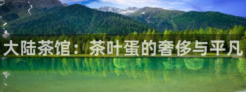 龙八国际b48点tv