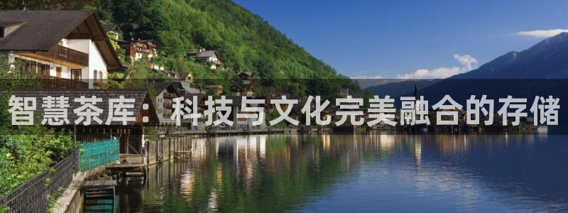 龙八国际游戏视频