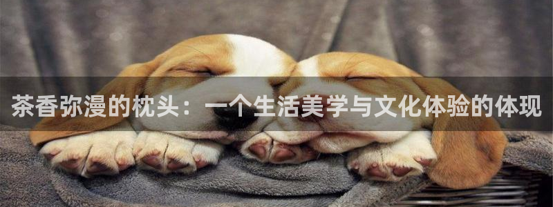 龙八国际app官方下载