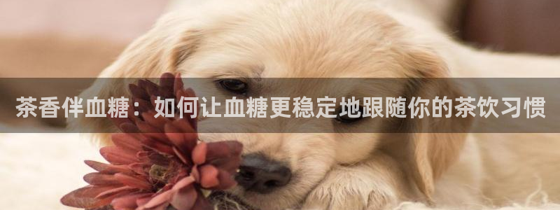 龙八国际集团有限公司