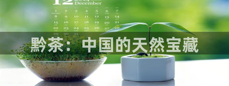 龙八国际q18 tv