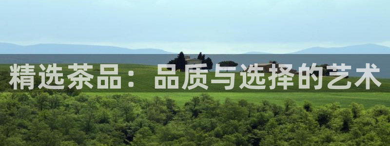 龙八国际手游