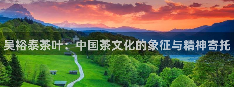 龙八国际跑路了吗