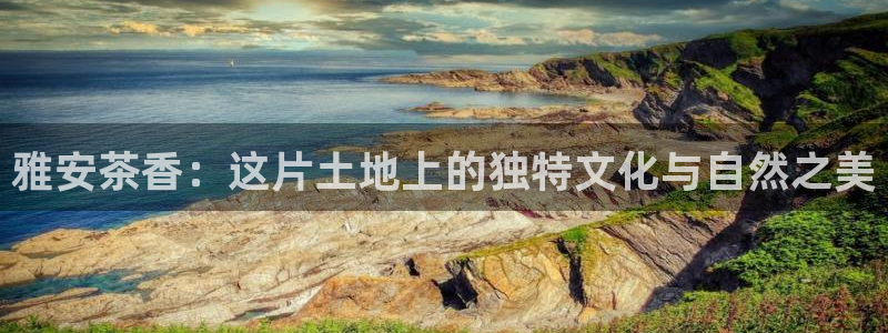 龙八国际有限责任公司