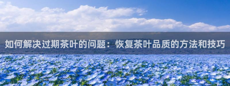菲律宾的龙八国际