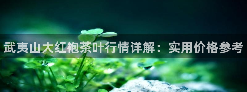 龙八国际图片