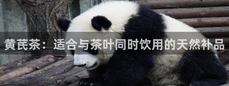 龙八国际平台安卓