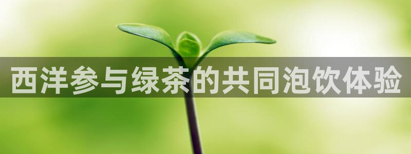 龙八国际Pt老虎机