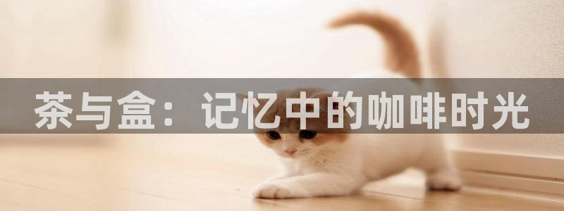 龙八国际跑路了吗