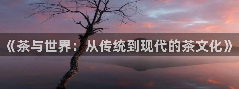 龙八国际这个平台在哪里