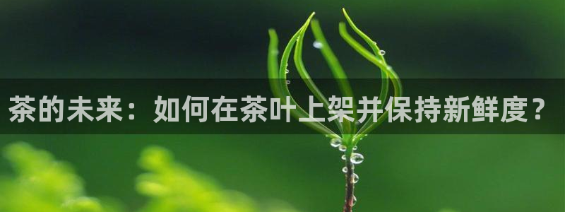 龙八国际官网下载
