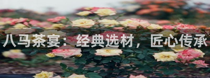 龙八国际app下载苹果