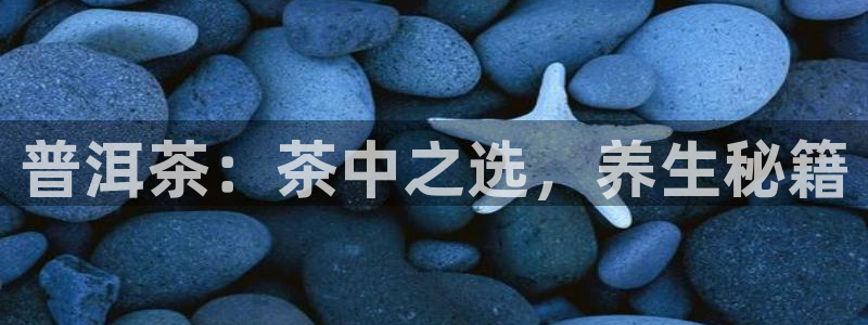 龙八国际网站