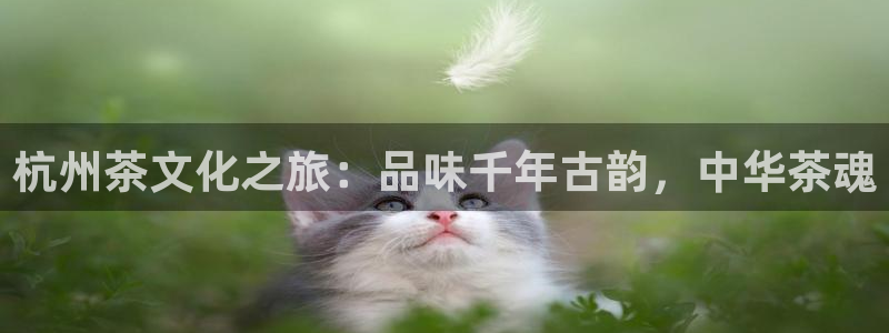 龙八国际娱乐平台