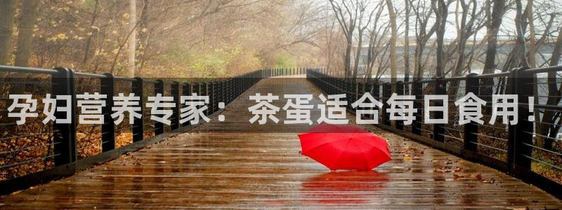 龙八国际app官网