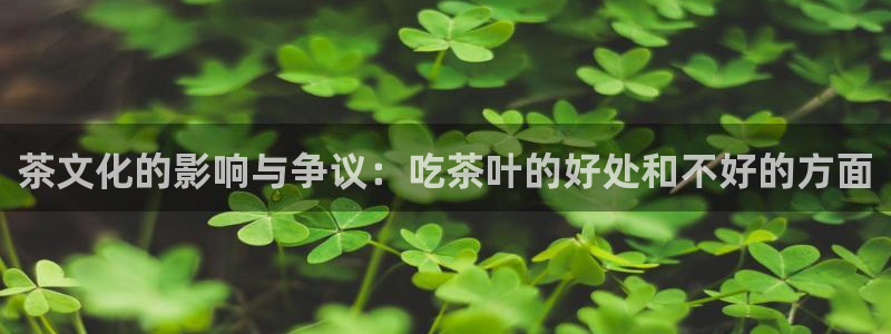 龙八国际app官方网站