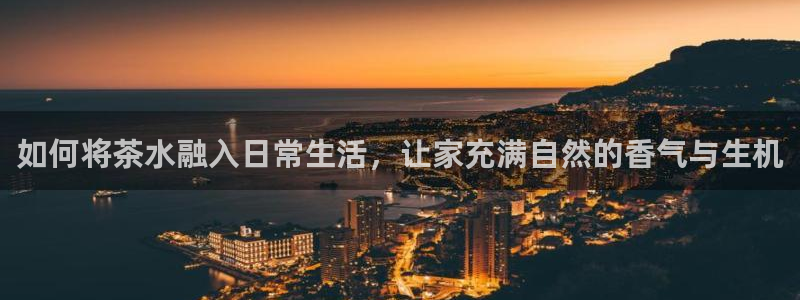 龙八国际娱乐实力如何
