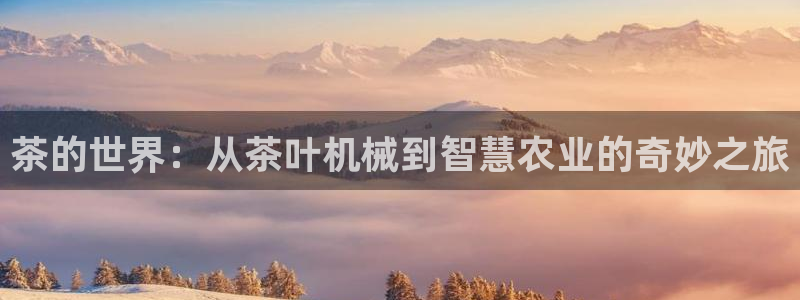 龙八国际客户端下载安装
