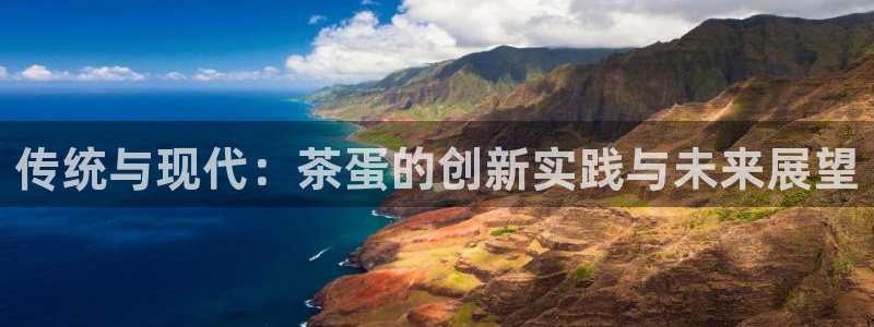 龙八国际有限责任公司