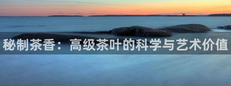 龙八国际登录入口