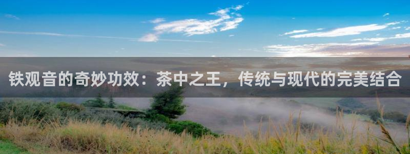 龙八国际官方网站pt
